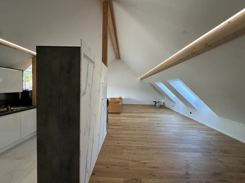 Appartamento mansardato unico (5,5 locali) con grande terrazza (6)