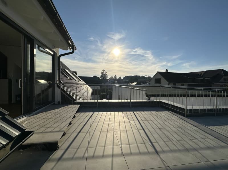 Appartamento mansardato unico (5,5 locali) con grande terrazza (2)
