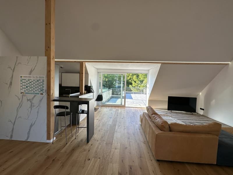 Appartamento mansardato unico (5,5 locali) con grande terrazza (7)