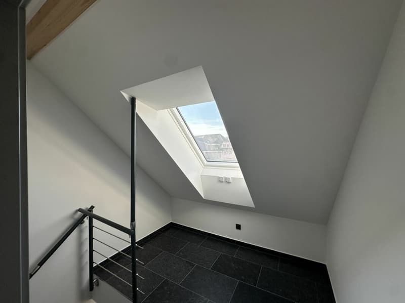 Appartamento mansardato unico (5,5 locali) con grande terrazza (27)