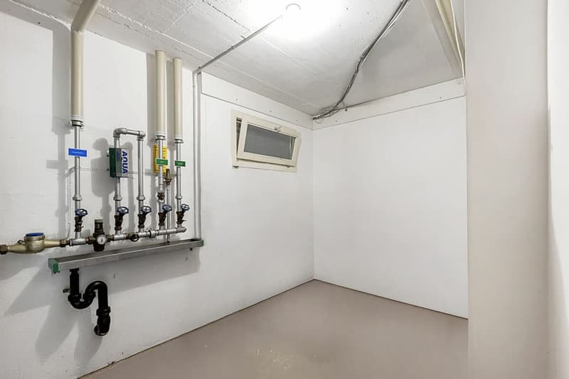 Looking for a home in the countryside with potential, peace, and good accessibility? (28)