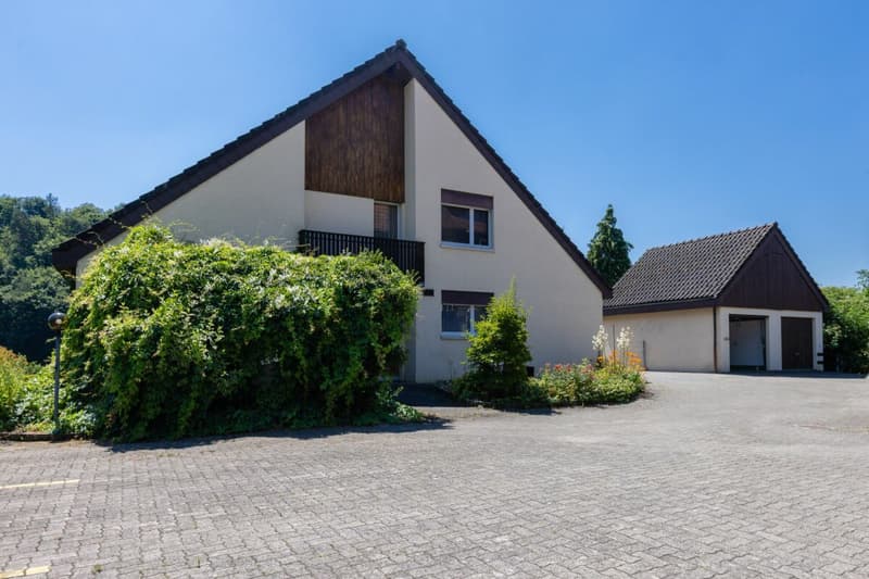 Looking for a home in the countryside with potential, peace, and good accessibility? (11)