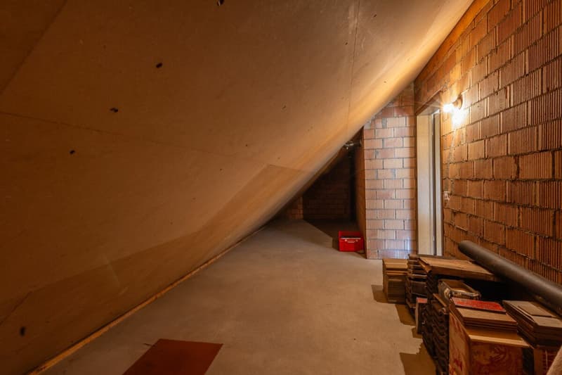 Looking for a home in the countryside with potential, peace, and good accessibility? (19)