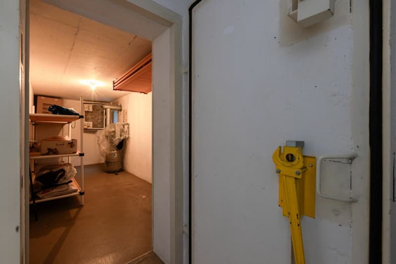 Looking for a home in the countryside with potential, peace, and good accessibility? (26)
