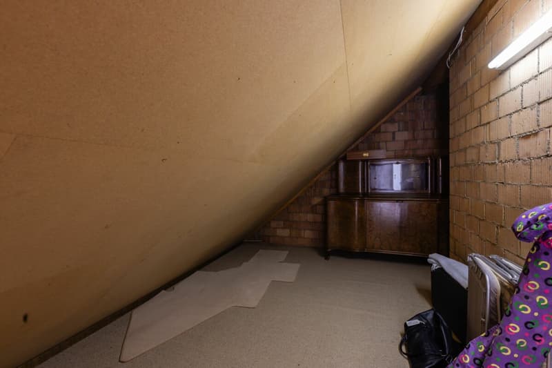 Looking for a home in the countryside with potential, peace, and good accessibility? (15)