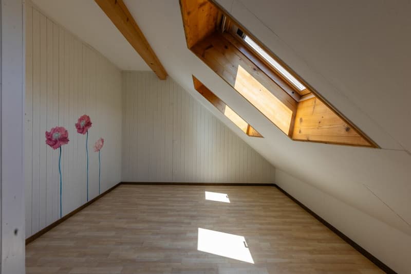 Looking for a home in the countryside with potential, peace, and good accessibility? (13)