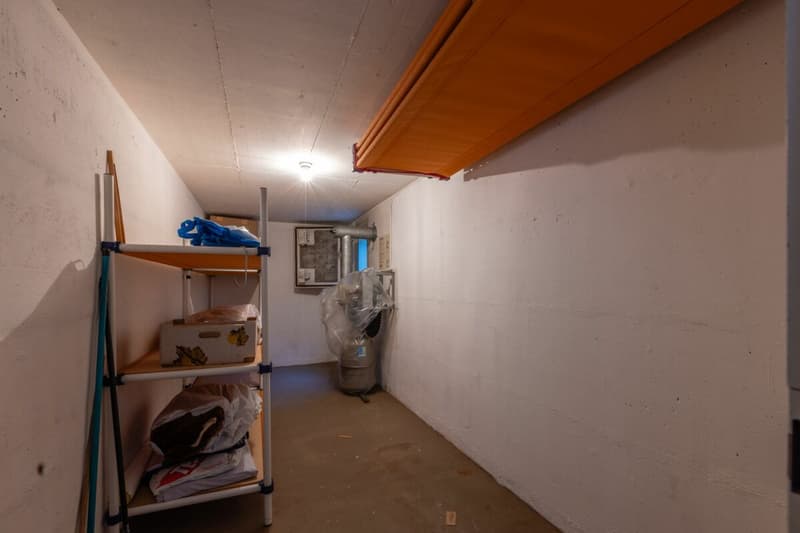 Looking for a home in the countryside with potential, peace, and good accessibility? (27)