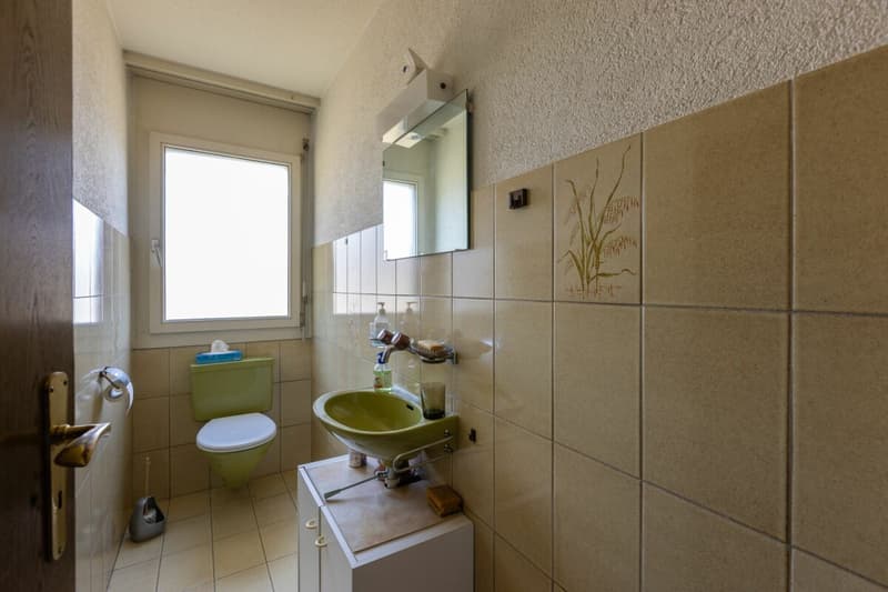 Looking for a home in the countryside with potential, peace, and good accessibility? (18)