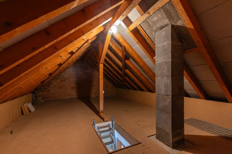 Looking for a home in the countryside with potential, peace, and good accessibility? (21)
