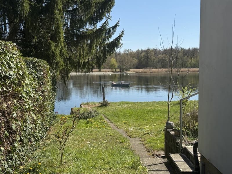 Rheinzugang und beste Sicht auf das Wasser und Naturschutzgebiet Schaarenwis und Schaarenwald