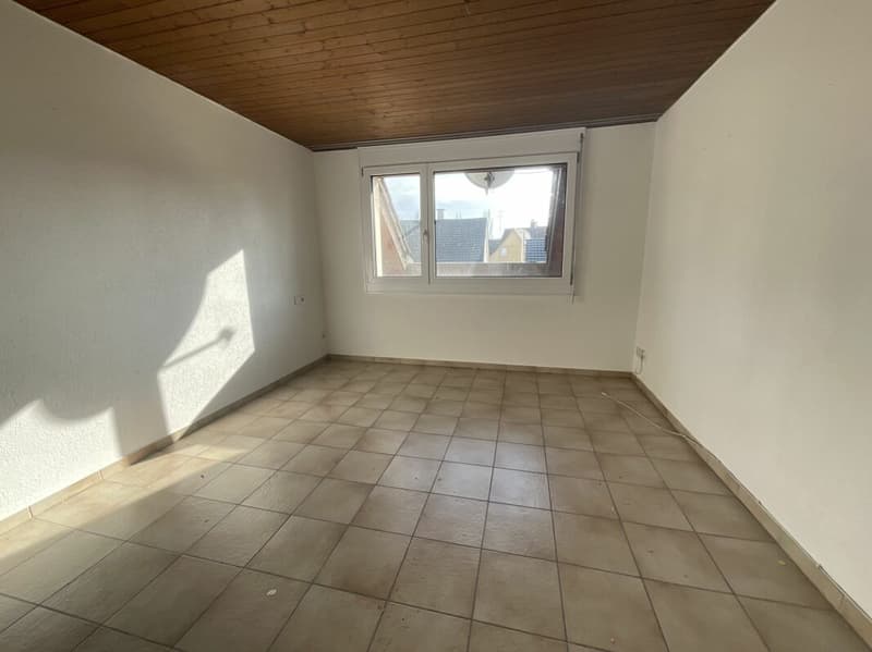 Appartamento di 3½ locali con grande terrazza: ideale per ristrutturazione (5)