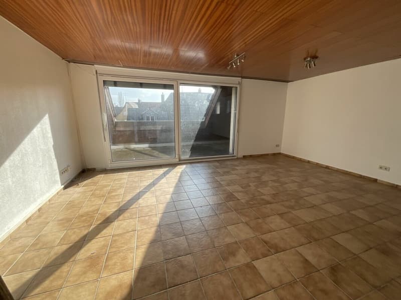 Appartamento di 3½ locali con grande terrazza: ideale per ristrutturazione (3)
