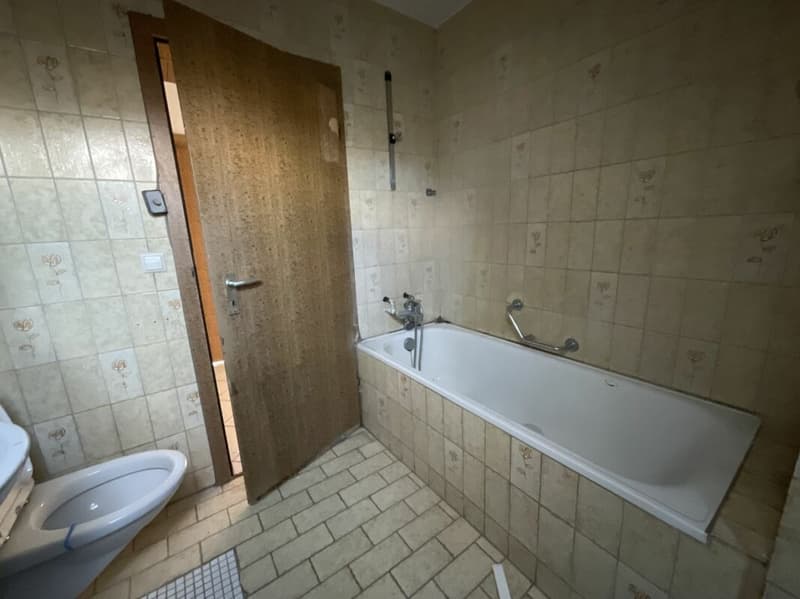 Appartamento di 3½ locali con grande terrazza: ideale per ristrutturazione (12)