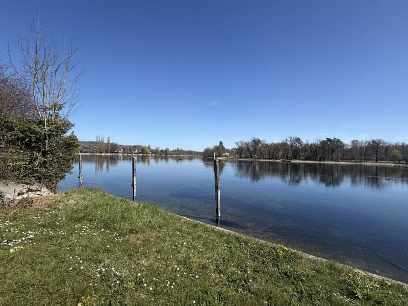 Rheingrundstück mit privatem Rheinzugang