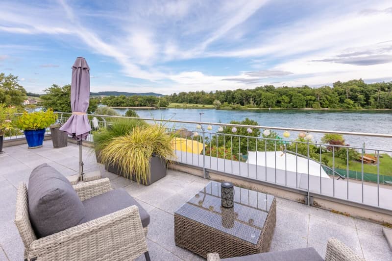 Unvergleichliche Panoramasicht auf den Rhein und das Naturschutzgebiet