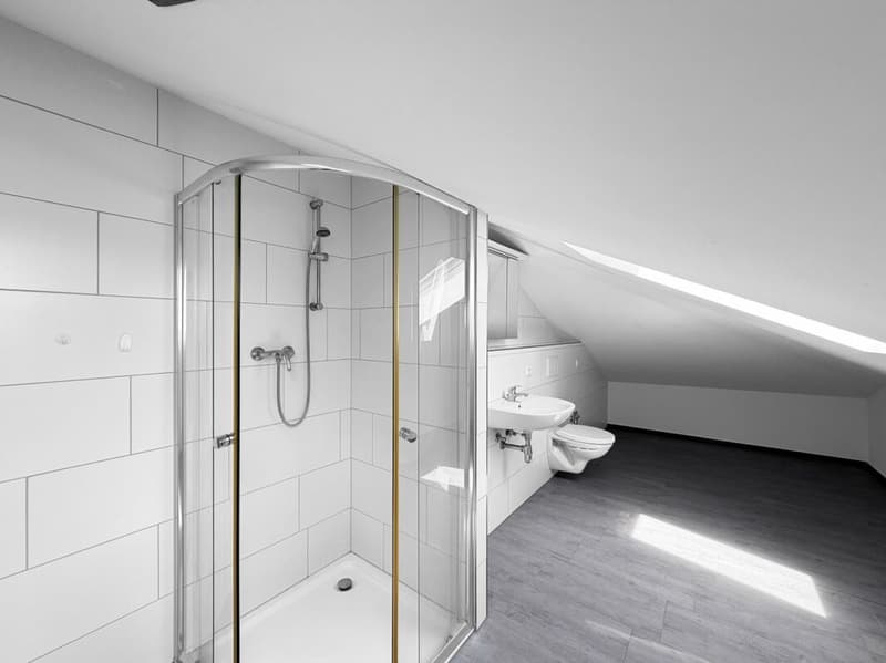 Modernisierte Maisonettewohnung in erster Rheinlage - bezugsbereit (12)
