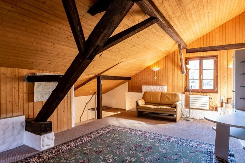 1.5 Zimmer Studiowohnung mit Gartensitzplatz im Grünen (5)
