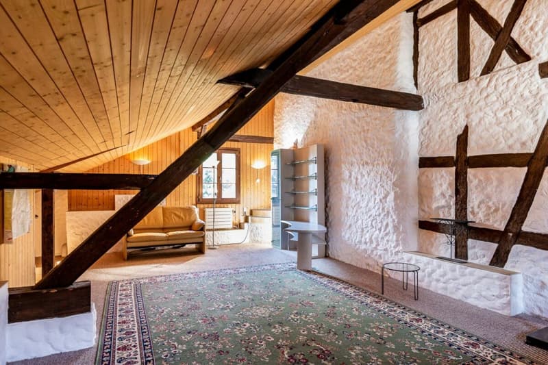 1.5 Zimmer Studiowohnung mit Gartensitzplatz im Grünen (4)