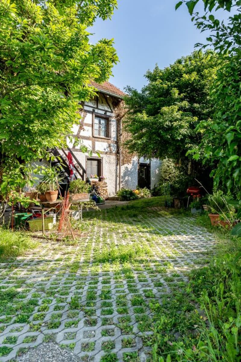 idyllisch gelegene Studiowohnung in Büsingen