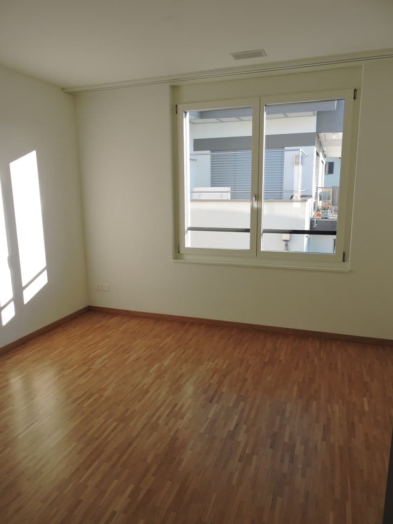 Spacious 4.5-room apartment in attractive location (9)