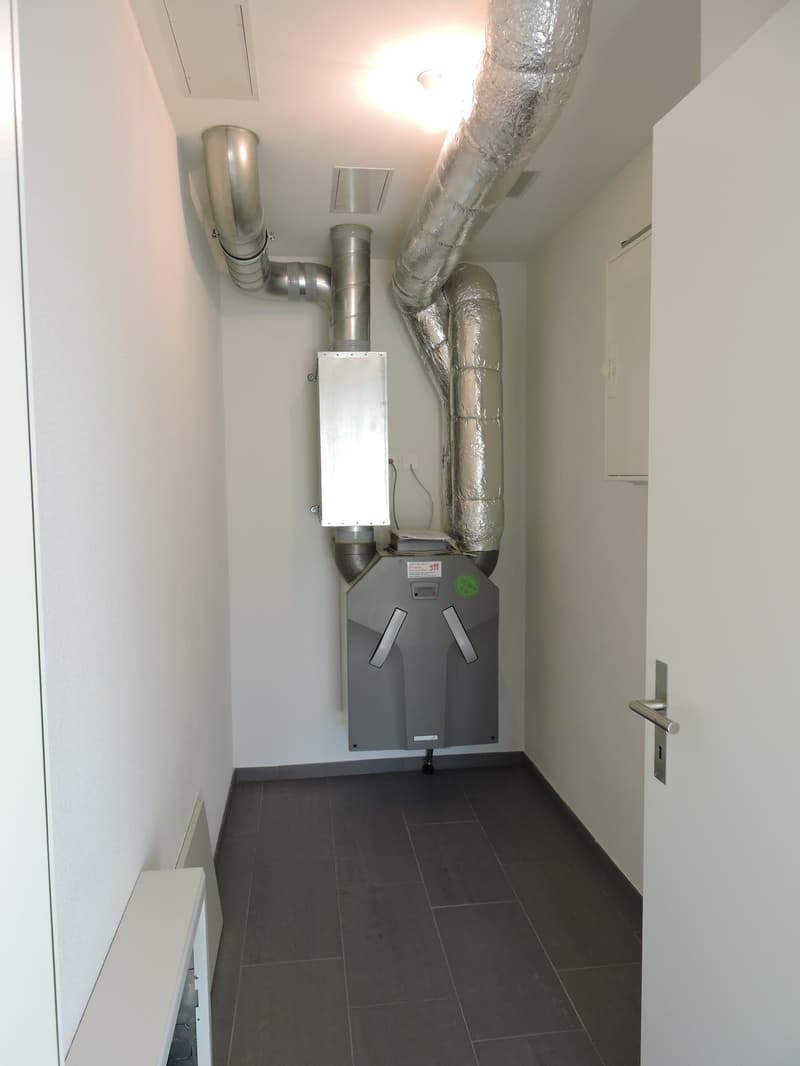 Spacious 4.5-room apartment in attractive location (13)