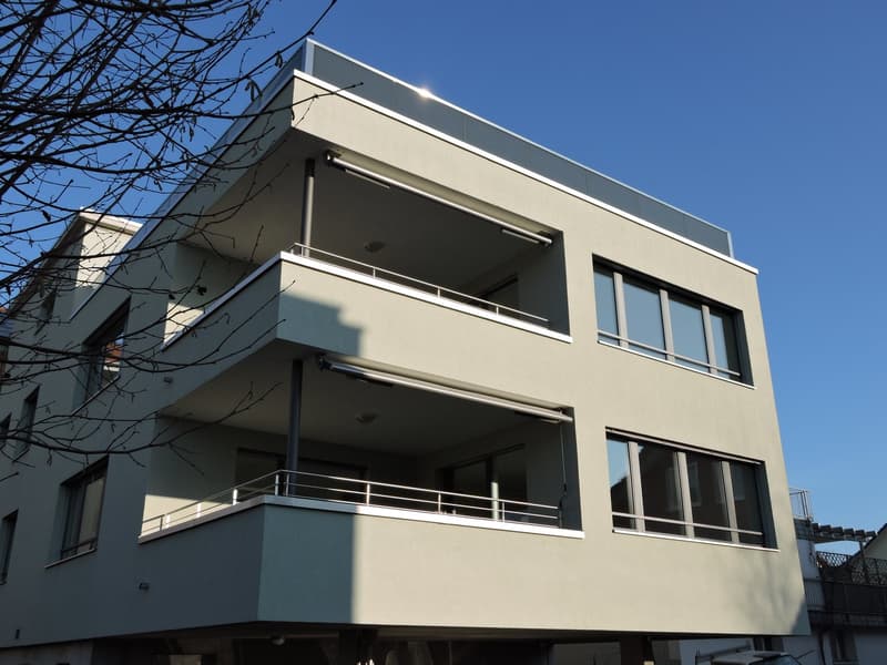 Spacious 4.5-room apartment in attractive location (2)