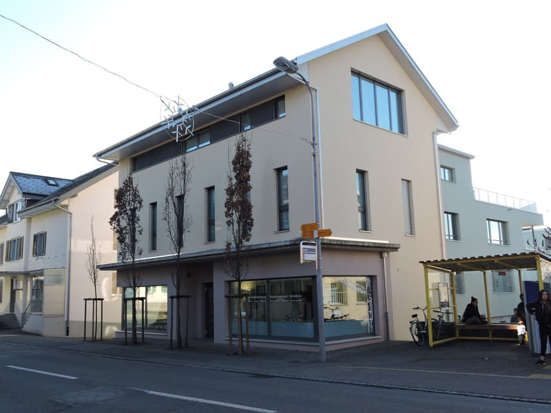 Spacious 4.5-room apartment in attractive location (1)