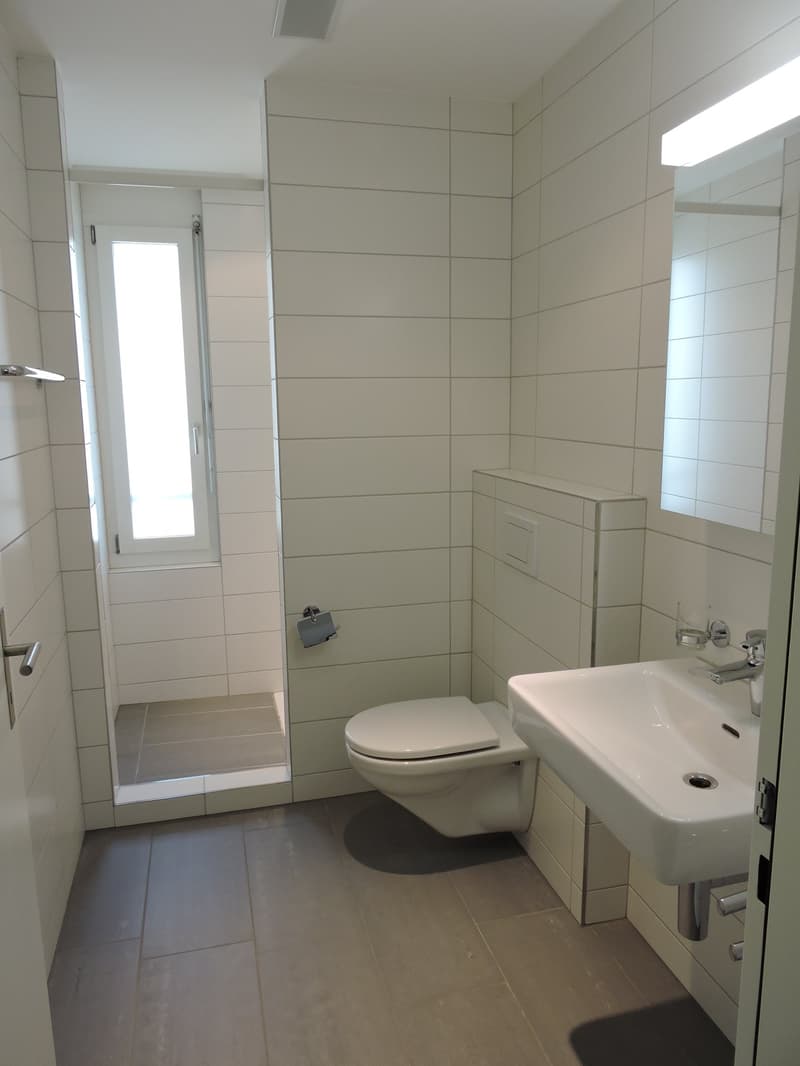 Spacious 4.5-room apartment in attractive location (10)