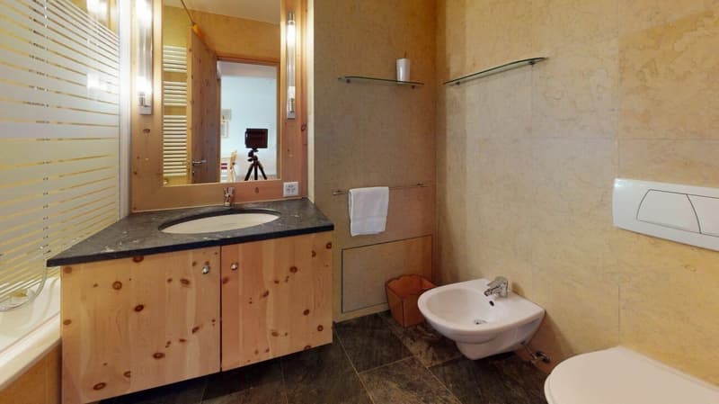 2.5 Zimmer-Wohnung mit Terrasse und Aussicht (8)
