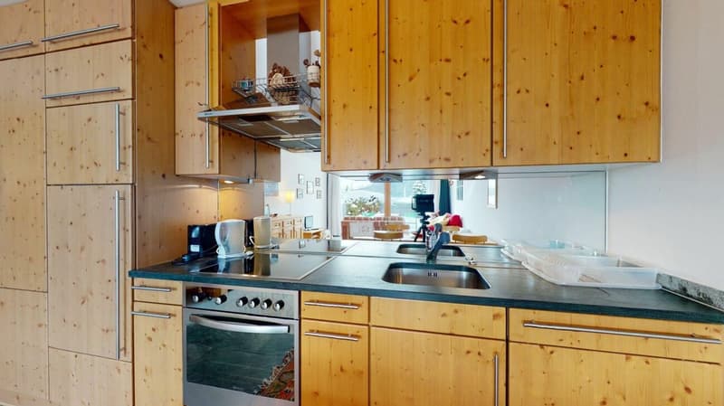 2.5 Zimmer-Wohnung mit Terrasse und Aussicht (7)