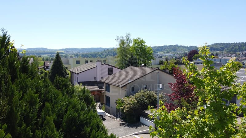 DJI_0931_bea