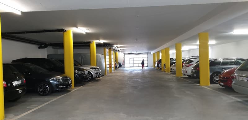 Storage at attractive conditions (partial rent from 55m2 possible) (6)