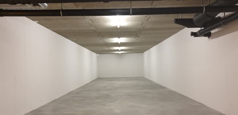 Storage at attractive conditions (partial rent from 55m2 possible) (3)