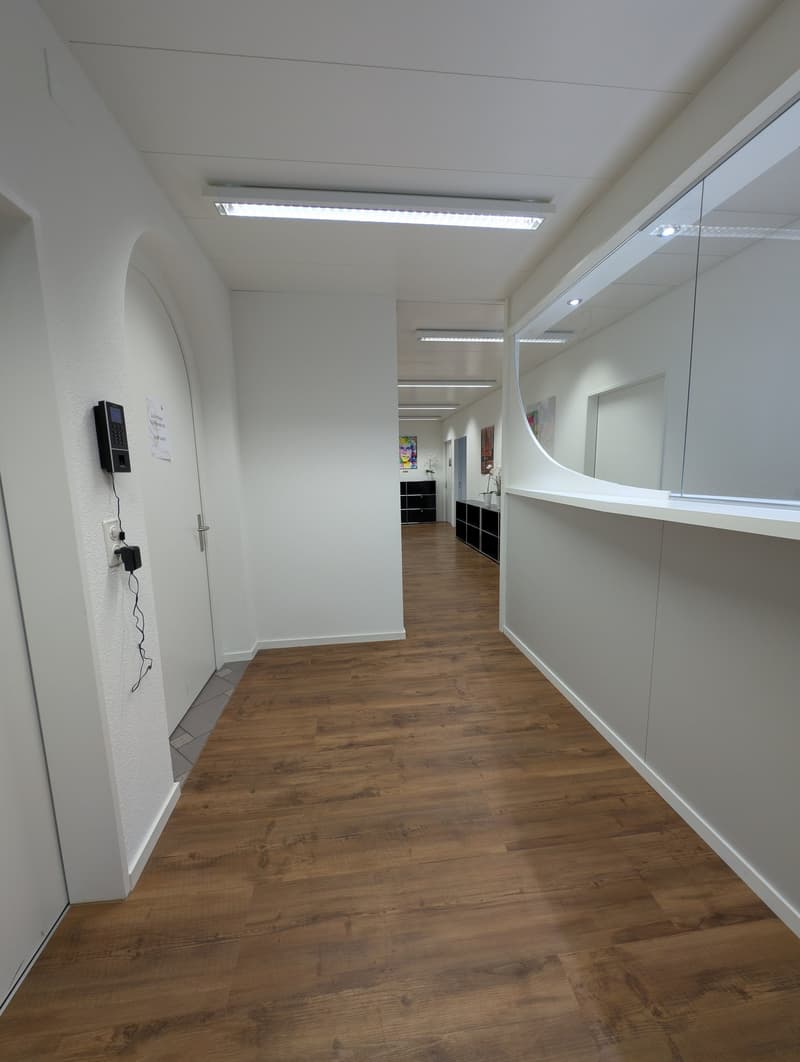 wide hallway, white walls, ceiling lamps, wooden floor, entrance door, electrical outlet with attached black device