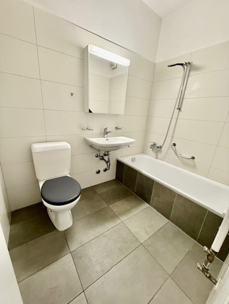 3,5 Zimmer in Lugano-Cassarate (7)