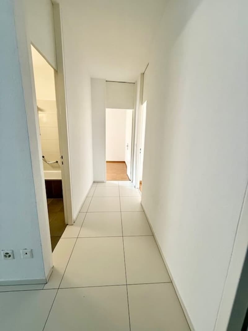 3,5 Zimmer in Lugano-Cassarate (8)