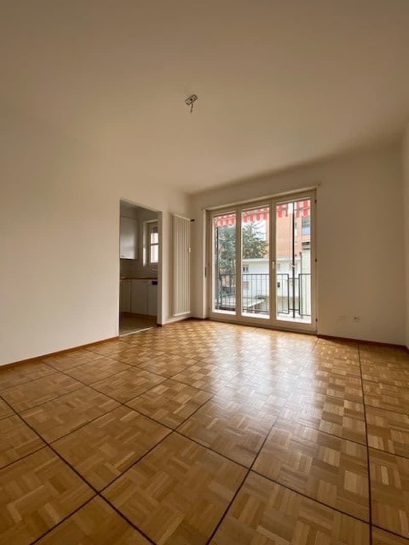 APPARTAMENTO 3.5 LOCALI A LUGANO-CASSARATE (3)
