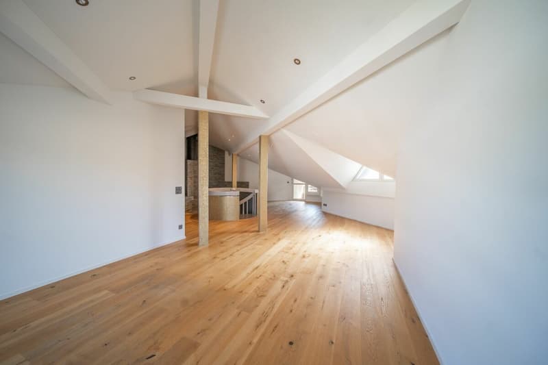 Appartement maisonnette exclusif avec loft et espace spa (18)