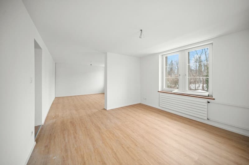 Frisch renovierte Maisonettewohnung mit 151 m² Wohnfläche (5)