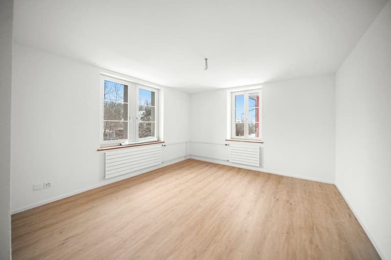 Charmante Maisonettewohnung mit Gartenanteil in Bürglen TG (6)