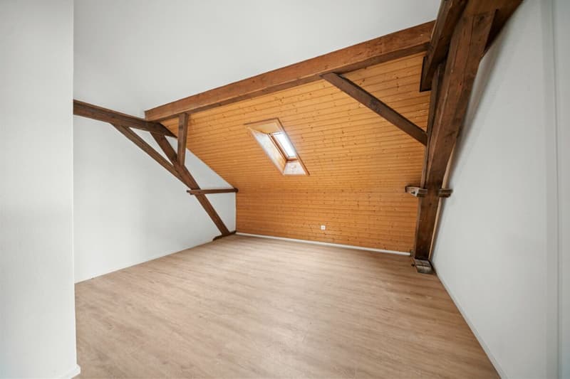 Charmante Maisonettewohnung mit Gartenanteil in Bürglen TG (12)