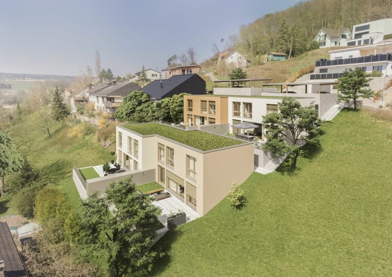 Projet de construction avec une vue d'avenir - pour 4 maisons unifamiliales modernes (2)