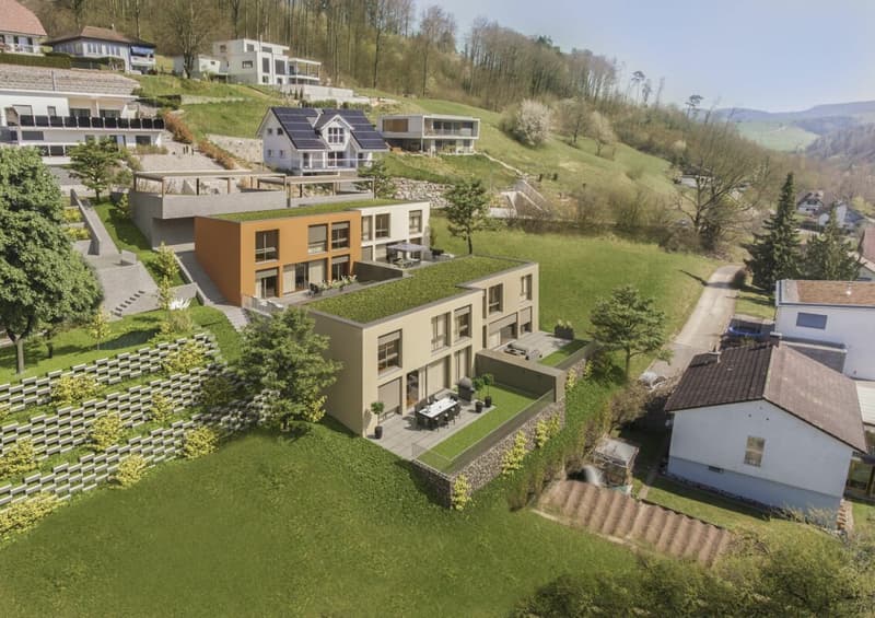 Projet de construction avec une vue d'avenir - pour 4 maisons unifamiliales modernes (4)