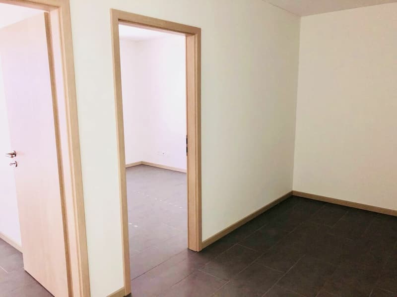 New duplex apartments with parking, 1 month free! (9)