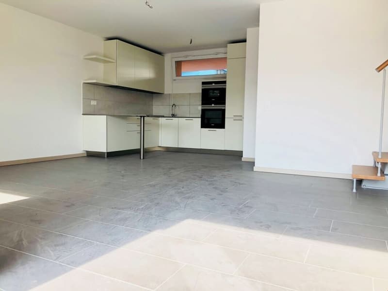 New duplex apartments with parking, 1 month free! (4)