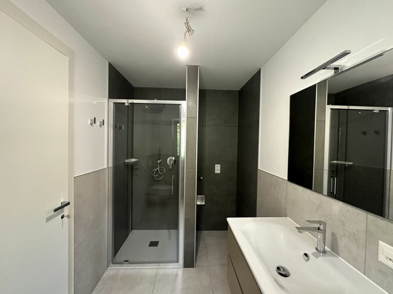 New and modern 3.5-room apartment, top floor and open view Mendrisio Arzo (8)
