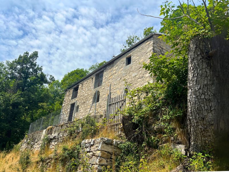 stone facade, several windows, wooden gate, chain-link fence, overgrown plants