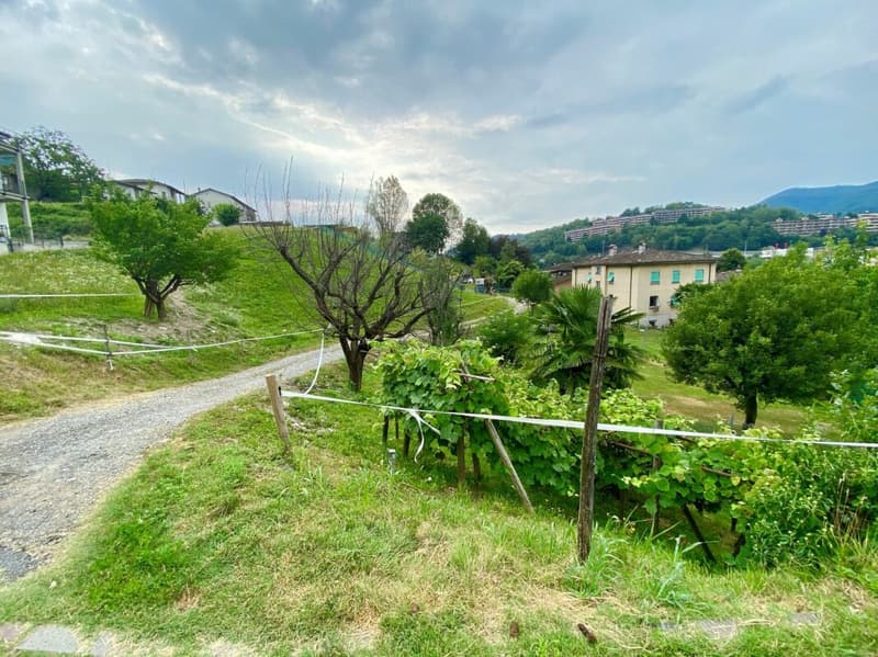 House with three apartments for income investment (12)
