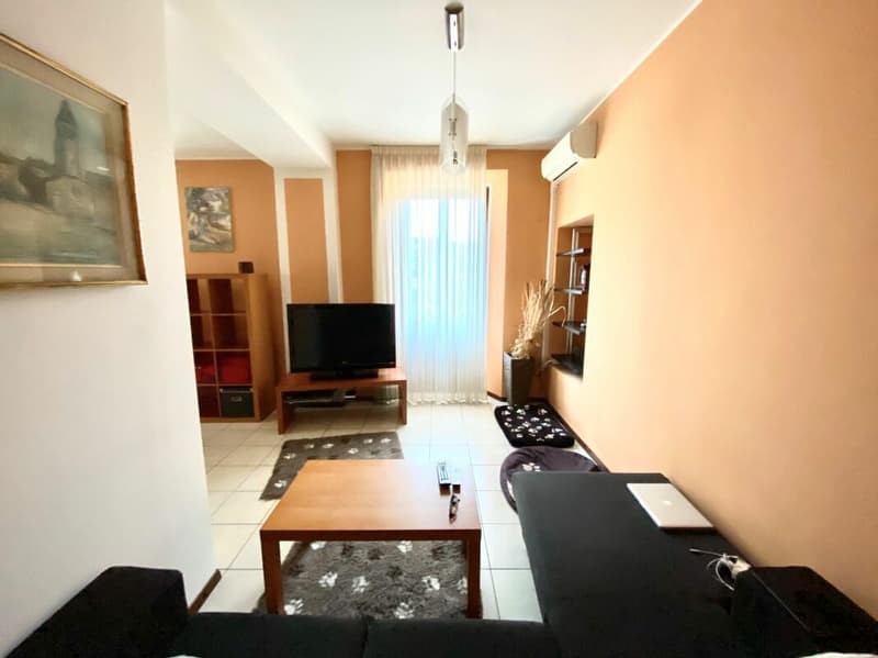 House with three apartments for income investment (4)