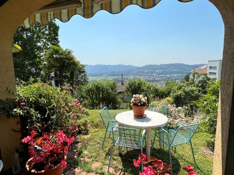 Splendida e caratteristica casa immersa nel verde (5)